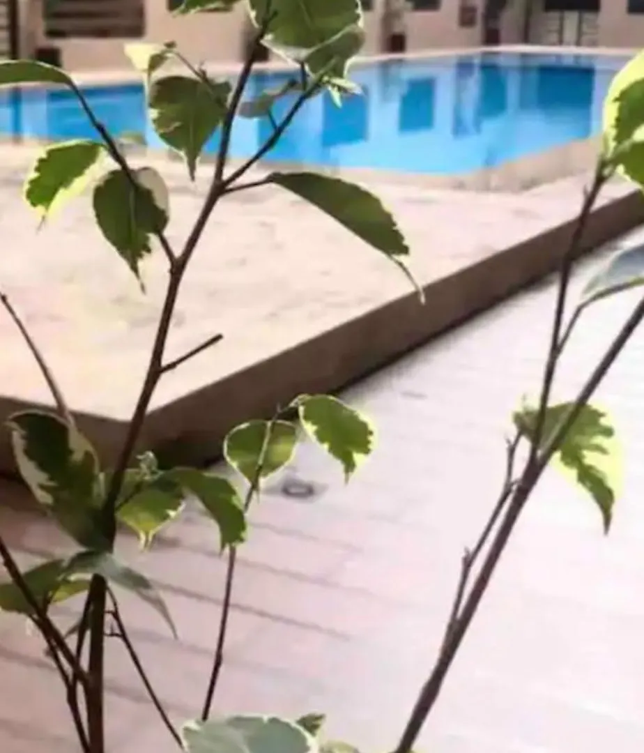 Apartment Glorieux Appartement A Gueliz Marrakesh