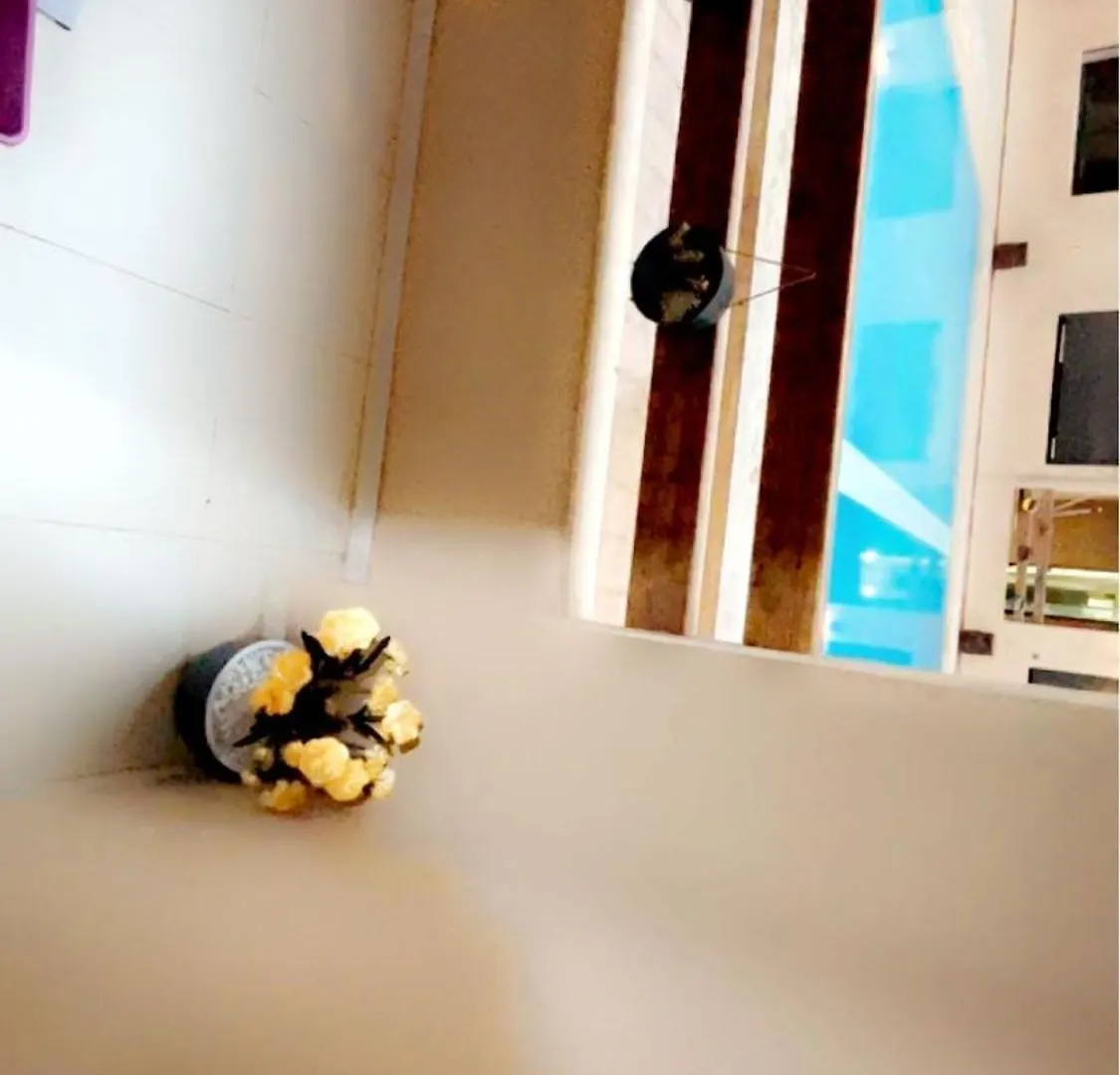 Glorieux Appartement A Gueliz Marrakesh 0*,